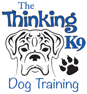 The Thinking K9 Logo