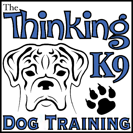 The Thinking K9 Logo